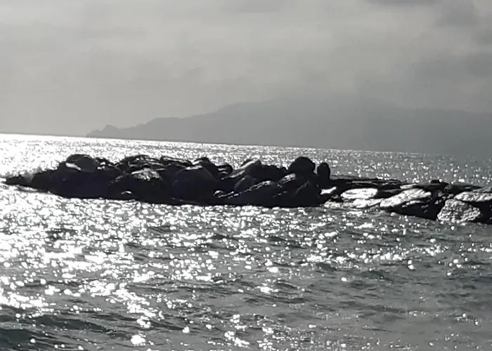 Casa Di Mirtha 아파트